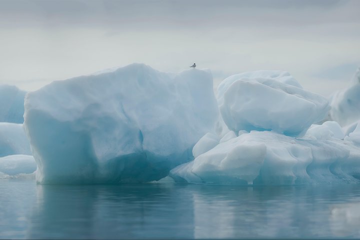 Excursión de un día desde Reikiavik a la Costa Sur de Islandia, con la Laguna Glaciar Jökulsárlón y la Playa de Diamantes, foto 10 | wizardtrip