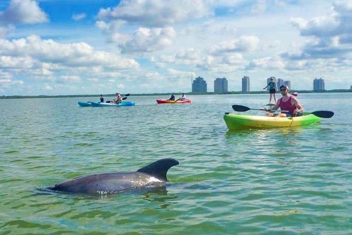 Guided Island EcoTour: CLEAR/Standard Kayak, SUP - Bonita Springs | wizardtrip