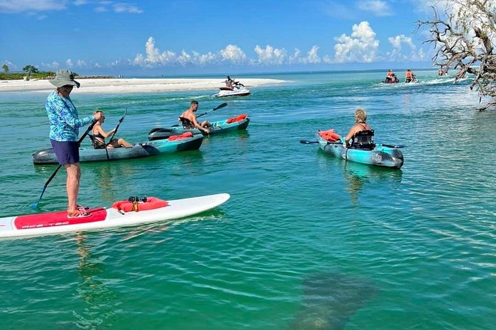 Éco-tour guidé à Bonita Springs en kayaks et paddleboards transparents, observation de dauphins et de mangroves, photo 9 | wizardtrip