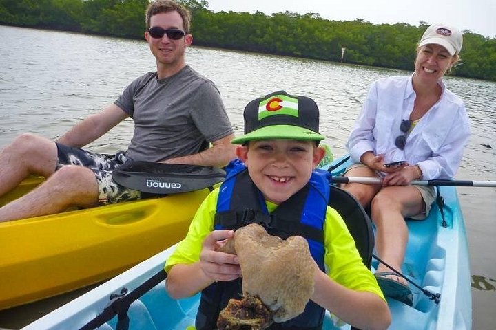Éco-tour guidé à Bonita Springs en kayaks et paddleboards transparents, observation de dauphins et de mangroves, photo 10 | wizardtrip