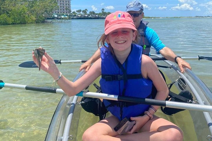 Éco-tour guidé à Bonita Springs en kayaks et paddleboards transparents, observation de dauphins et de mangroves, photo 12 | wizardtrip