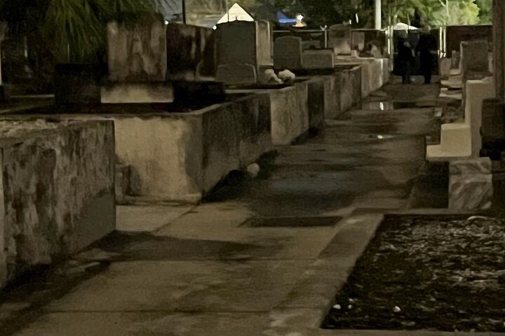 Passeio noturno de ônibus por cemitério assombrado em Nova Orleans com equipamento de caça a fantasmas, foto 10 | wizardtrip