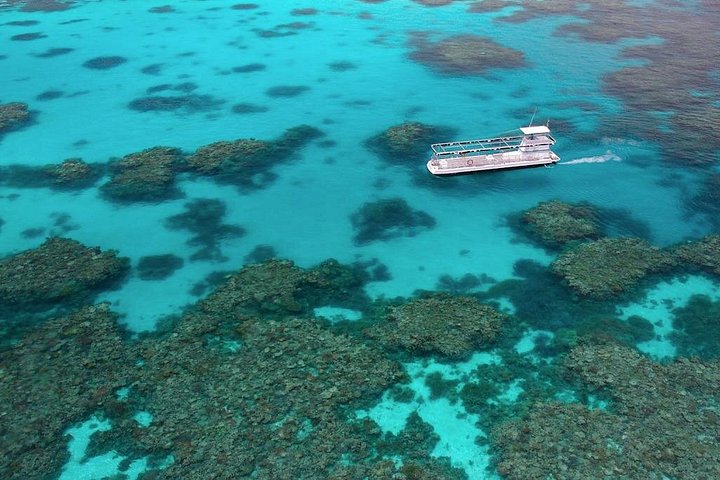 Buzos explorando vibrantes arrecifes de coral y diversa vida marina en la Gran Barrera de Coral cerca de Port Douglas, Australia, foto 6 | wizardtrip