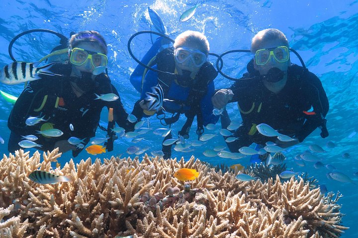 Buzos explorando vibrantes arrecifes de coral y diversa vida marina en la Gran Barrera de Coral cerca de Port Douglas, Australia, foto 7 | wizardtrip