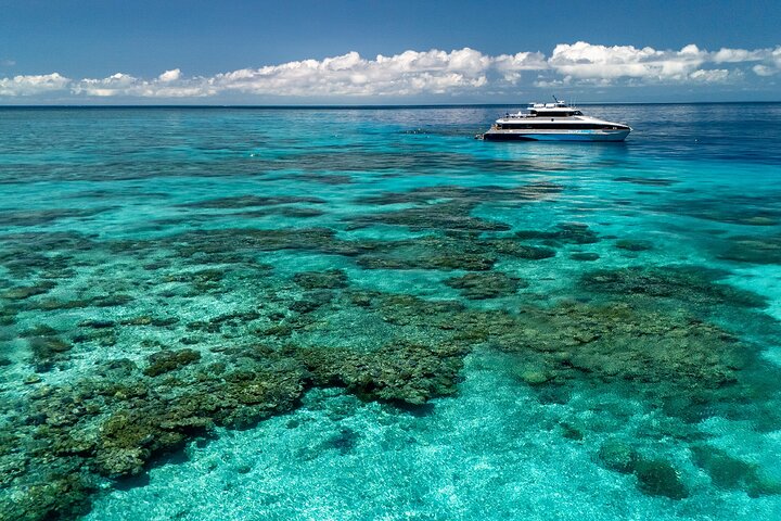 Ganztägige Great Barrier Reef Kreuzfahrt von Port Douglas, Australien, mit Schnorcheln und Tauchen, Foto 9 | wizardtrip