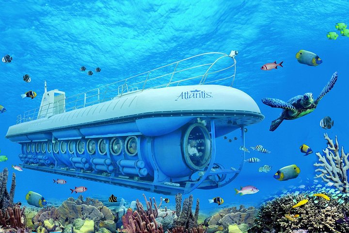 Explore el mundo submarino de Aruba en un tour en submarino, descubriendo vida marina y arrecifes de coral, foto 3 | wizardtrip