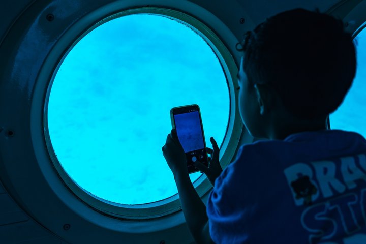 Explore el mundo submarino de Aruba en un tour en submarino, descubriendo vida marina y arrecifes de coral, foto 5 | wizardtrip