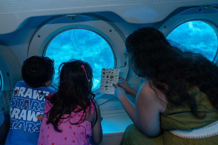 Explore el mundo submarino de Aruba en un tour en submarino, descubriendo vida marina y arrecifes de coral, foto 8 | wizardtrip