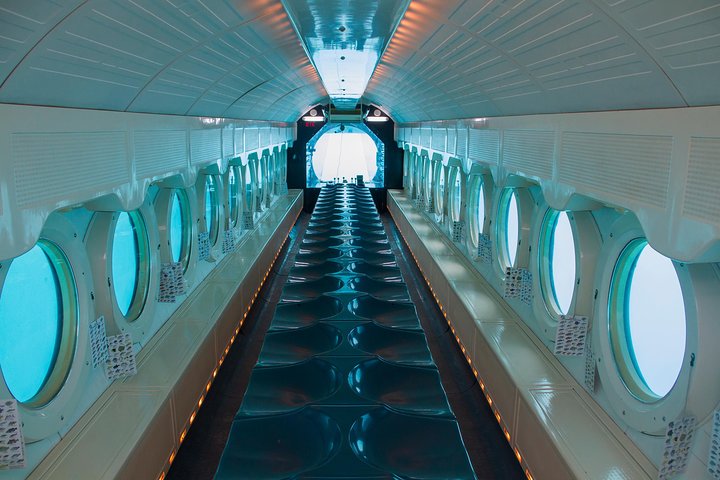 Explore el mundo submarino de Aruba en un tour en submarino, descubriendo vida marina y arrecifes de coral, foto 9 | wizardtrip