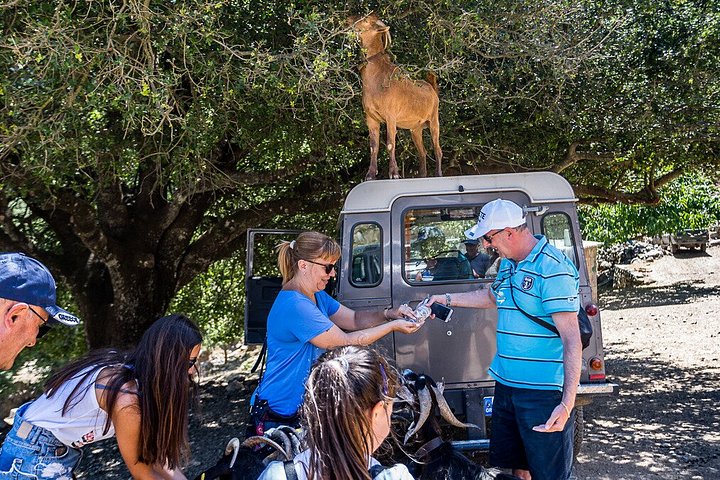 Tour panoramico in safari attraverso le montagne di Creta, visita di siti storici e villaggi con pranzo, foto 9 | wizardtrip