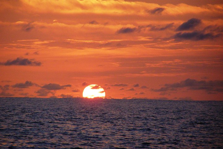 Disfruta de un hermoso crucero al atardecer en catamarán en Fort Myers, Florida, foto 10 | wizardtrip