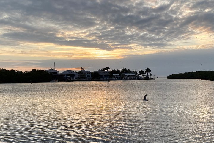 Disfruta de un hermoso crucero al atardecer en catamarán en Fort Myers, Florida, foto 12 | wizardtrip