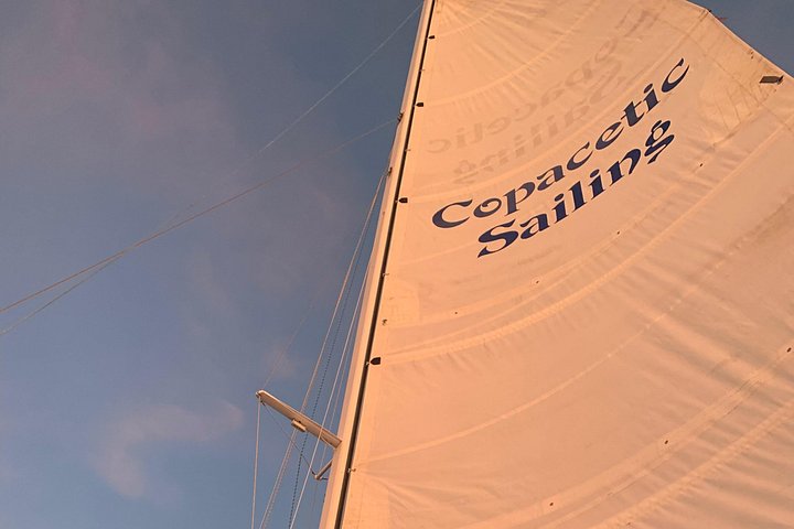 Disfruta de un hermoso crucero al atardecer en catamarán en Fort Myers, Florida, foto 29 | wizardtrip