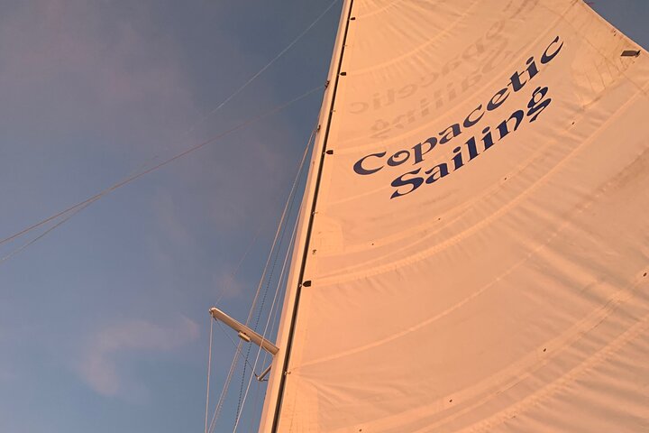 Disfruta de un hermoso crucero al atardecer en catamarán en Fort Myers, Florida, foto 36 | wizardtrip
