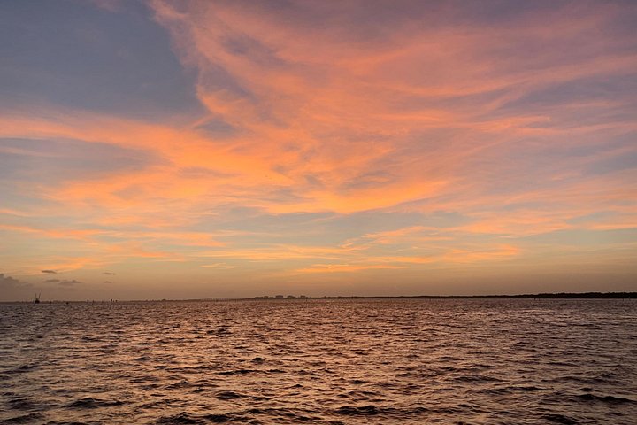 Disfruta de un hermoso crucero al atardecer en catamarán en Fort Myers, Florida, foto 37 | wizardtrip