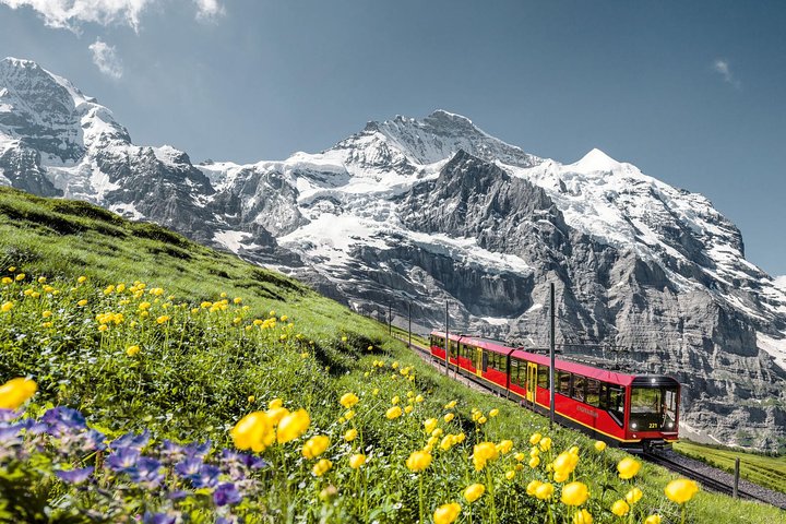 Jungfraujoch : Excursion d'une journée depuis Zurich | wizardtrip