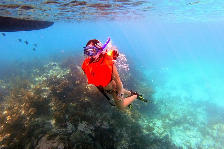 Snorkelavontuur in Key Largo, Florida, met verkenning van levendige koraalriffen en zeeleven, foto 6 | wizardtrip