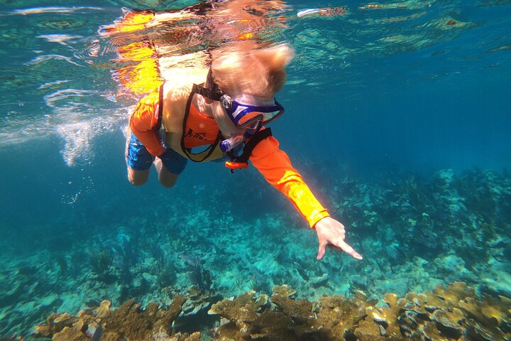 Snorkelavontuur in Key Largo, Florida, met verkenning van levendige koraalriffen en zeeleven, foto 8 | wizardtrip