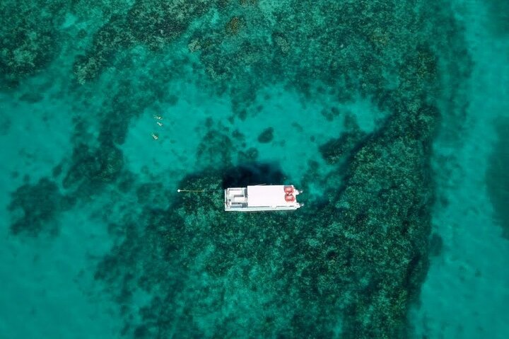 Snorkelavontuur in Key Largo, Florida, met verkenning van levendige koraalriffen en zeeleven, foto 10 | wizardtrip