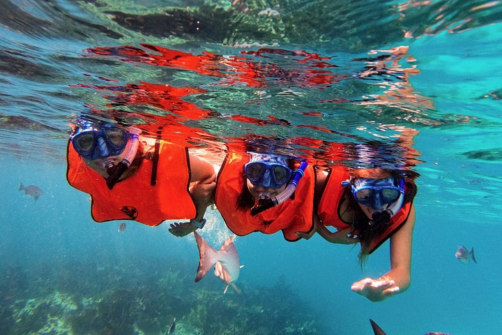 Snorkelavontuur in Key Largo, Florida, met verkenning van levendige koraalriffen en zeeleven, foto 12 | wizardtrip