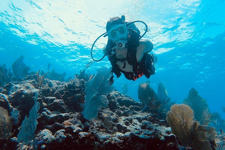 Snorkeling tour in Key Largo, Florida, exploring shallow coral reefs with clear blue water, photo 7 | wizardtrip