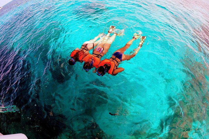 Snorkeling tour in Key Largo, Florida, exploring shallow coral reefs with clear blue water, photo 8 | wizardtrip