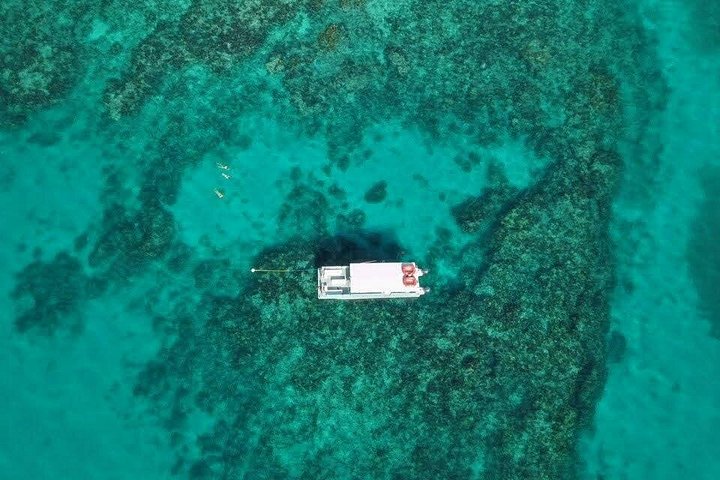 Snorkeling tour in Key Largo, Florida, exploring shallow coral reefs with clear blue water, photo 9 | wizardtrip