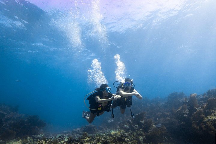 Snorkeling tour in Key Largo, Florida, exploring shallow coral reefs with clear blue water, photo 10 | wizardtrip