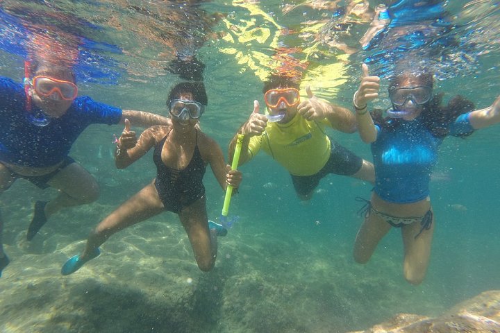 Tour en kayak y snorkel a la Cova Tallada cerca de Benidorm, España, foto 18 | wizardtrip