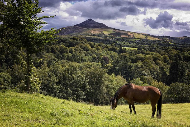 Tour en petit groupe de Dublin à Powerscourt Gardens, aux montagnes de Wicklow et à Glendalough, photo 8 | wizardtrip
