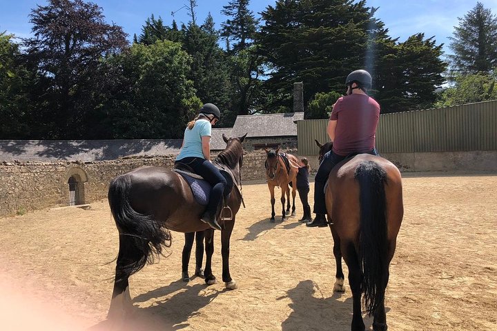 Small group tour from Dublin featuring horse riding in Wicklow Mountains National Park and Glendalough, foto 6 | wizardtrip