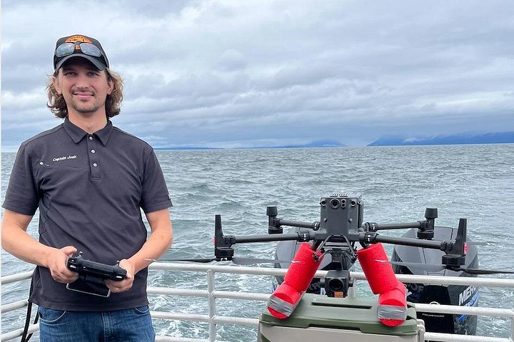 Walbeobachtungstour in Alaska mit Drohnenaufnahmen von Walen und Meeresleben, Foto 8 | wizardtrip