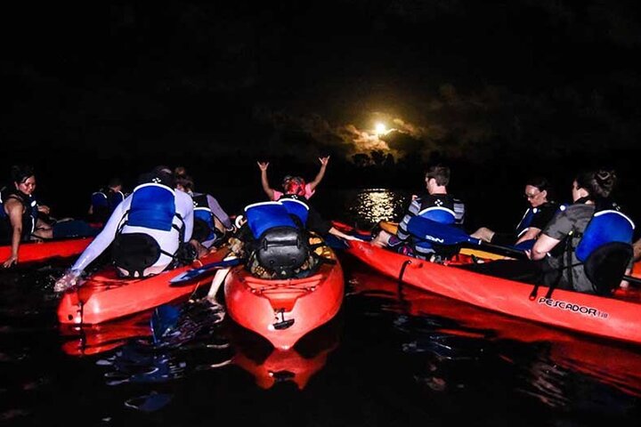 Bio Bay Kajaktocht in Fajardo | wizardtrip
