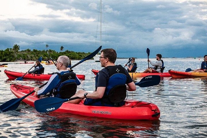 Kajakroere padler gennem en mangrovekanal mod den selvlysende bugt i Fajardo, Puerto Rico, foto 7 | wizardtrip