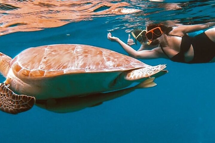 プエルトリコ、ククレブラ島への終日シュノーケリングツアー、フラメンコ・ビーチが含まれます、写真7 | wizardtrip