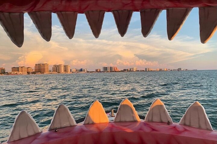 Delfinsafari-båttur på et hai-tematisert fartøy i Clearwater Beach, foto 6 | wizardtrip