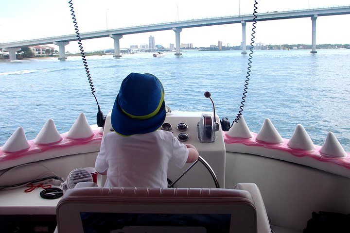 Delfinsafari-båttur på et hai-tematisert fartøy i Clearwater Beach, foto 8 | wizardtrip