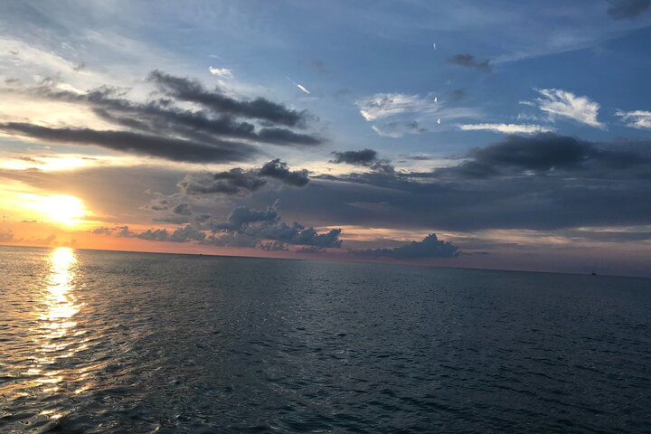 Delfinsafari-båttur på et hai-tematisert fartøy i Clearwater Beach, foto 11 | wizardtrip