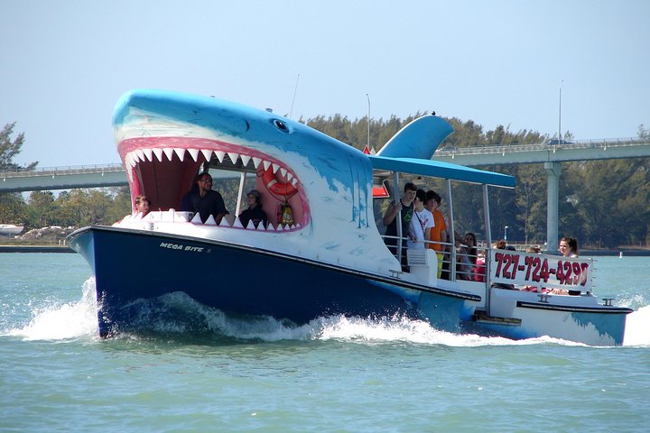 Delfinsafari-båttur på et hai-tematisert fartøy i Clearwater Beach, foto 14 | wizardtrip
