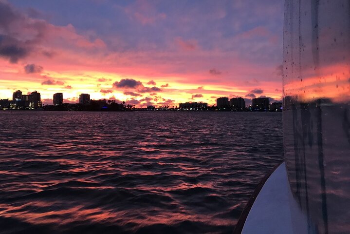 Delfinsafari-båttur på et hai-tematisert fartøy i Clearwater Beach, foto 17 | wizardtrip