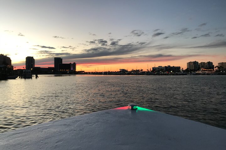 Delfinsafari-båttur på et hai-tematisert fartøy i Clearwater Beach, foto 18 | wizardtrip