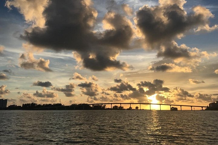 Delfinsafari-båttur på et hai-tematisert fartøy i Clearwater Beach, foto 20 | wizardtrip