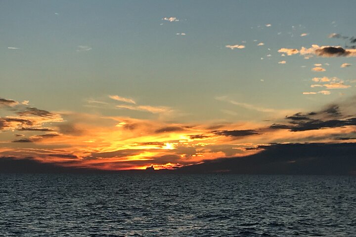 Delfinsafari-båttur på et hai-tematisert fartøy i Clearwater Beach, foto 21 | wizardtrip