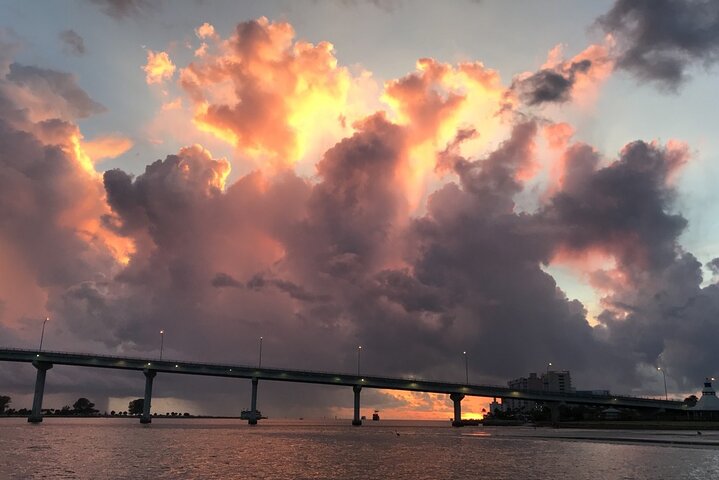 Delfinsafari-båttur på et hai-tematisert fartøy i Clearwater Beach, foto 22 | wizardtrip