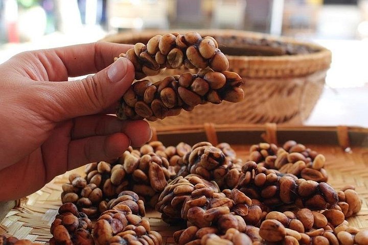 Utforsk Dalats fossefall, kaffegårder og kultursteder på denne eventyrturen, foto 26 | wizardtrip