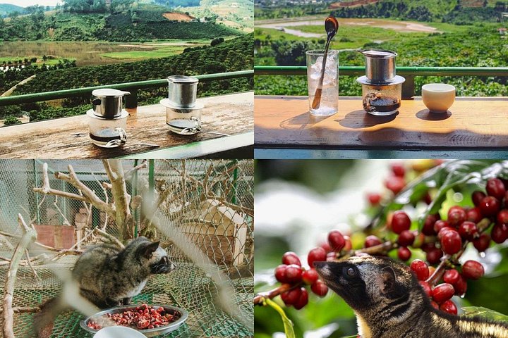 Utforsk Dalats fossefall, kaffegårder og kultursteder på denne eventyrturen, foto 29 | wizardtrip