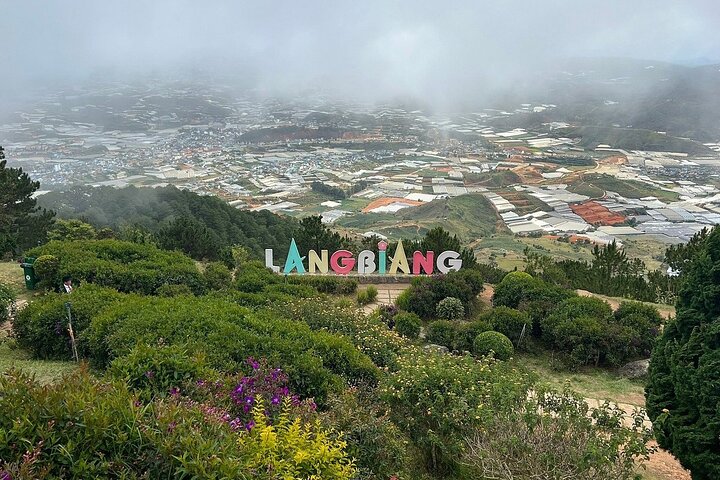 Tour giornaliero a Da Lat visitando il Monte Langbiang, la Crazy House e la Cascata Datanla, foto 12 | wizardtrip