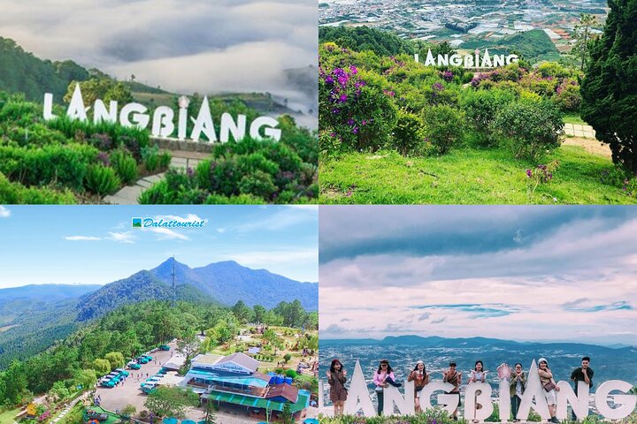 Tour giornaliero a Da Lat visitando il Monte Langbiang, la Crazy House e la Cascata Datanla, foto 21 | wizardtrip