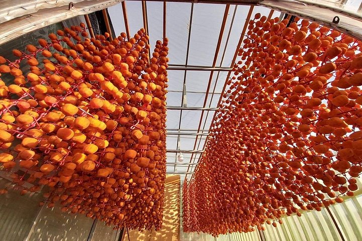 Soluppgång, moln, tefält och vindkraftverk i Da Lat, Vietnam, foto 21 | wizardtrip