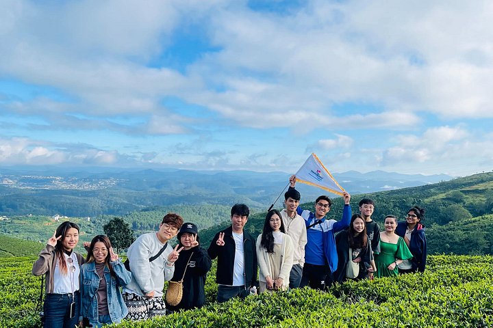 Soluppgång, moln, tefält och vindkraftverk i Da Lat, Vietnam, foto 26 | wizardtrip